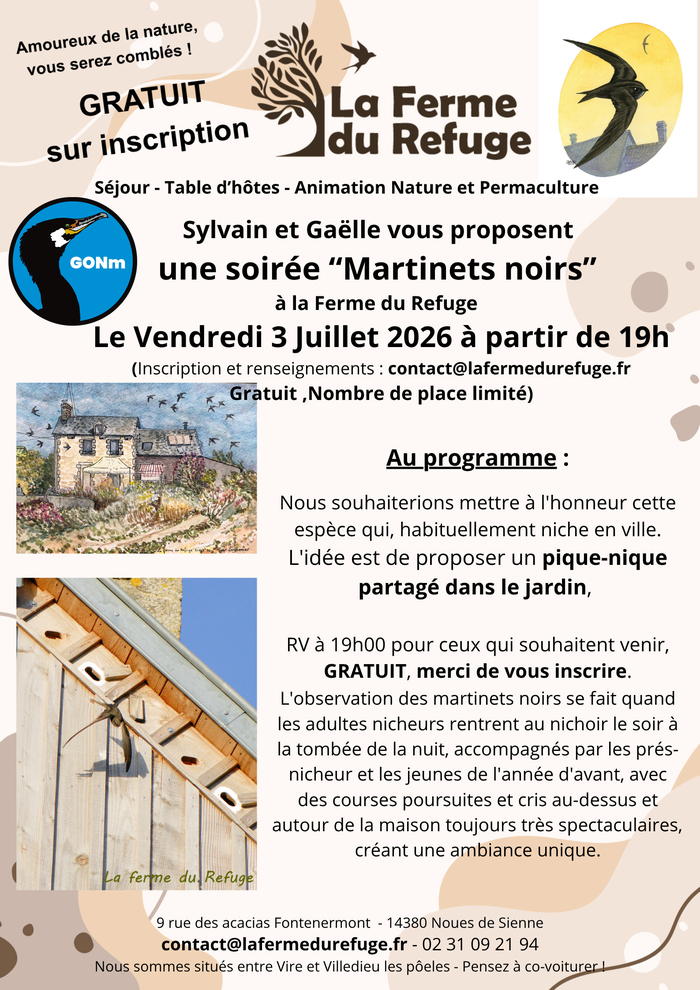 NOUES-DE-SIENNE/14 : soirée Martinets noirs Noues-de-Sienne Noues de Sienne