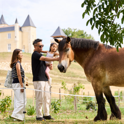 Nourrir les animaux de la ferme et atelier créatif au Château Plain Point Saint-Aignan