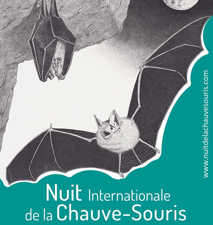 Nuit de la chauve-souris à Bréziers, Maison forestière du Sapet – La Bâtie Neuve, Ancelle