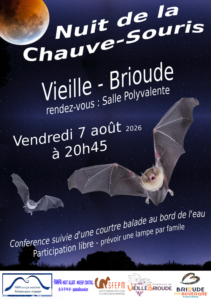 Nuit de la chauve-souris à Vieille Brioude, 43100 vieille brioude, Vieille-Brioude