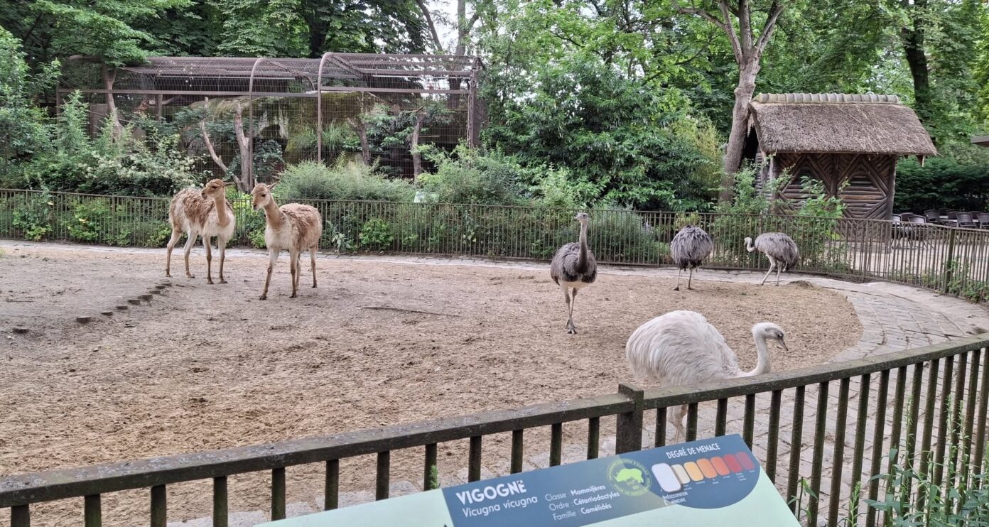 Végétation et installations de la Ménagerie du Jardin des Plantes