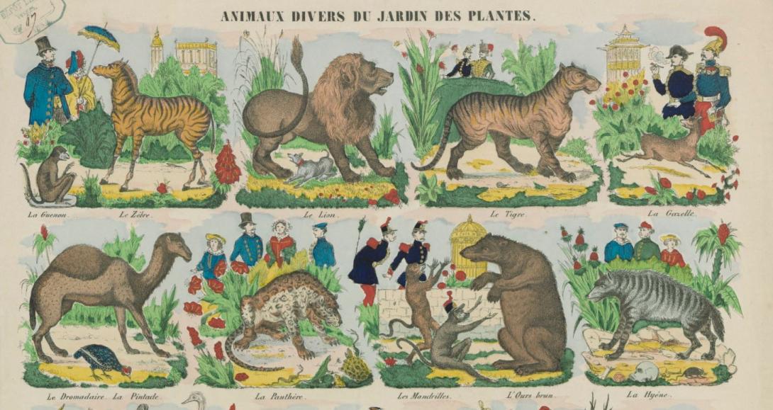 Vue de la Ménagerie du Jardin des Plantes à Paris