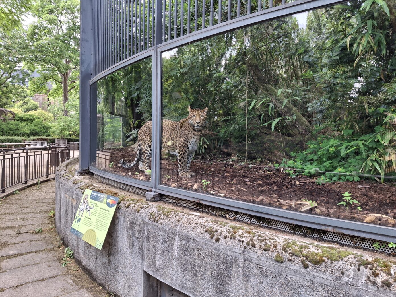 Animaux et végétation à la Ménagerie du Jardin des Plantes