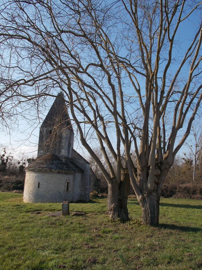Ouverture du chantier de l'église St Vincent Ancienne église Saint-Vincent de La Loyère Fragnes-la-Loyère