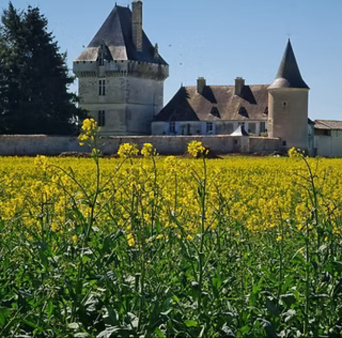 Ouverture exceptionnelle du château de Jouhé : visites guidées, Château de Jouhé, Valdelaume