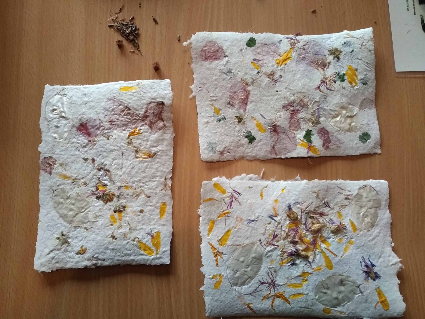 Papier fleuri Saint-Brisson
