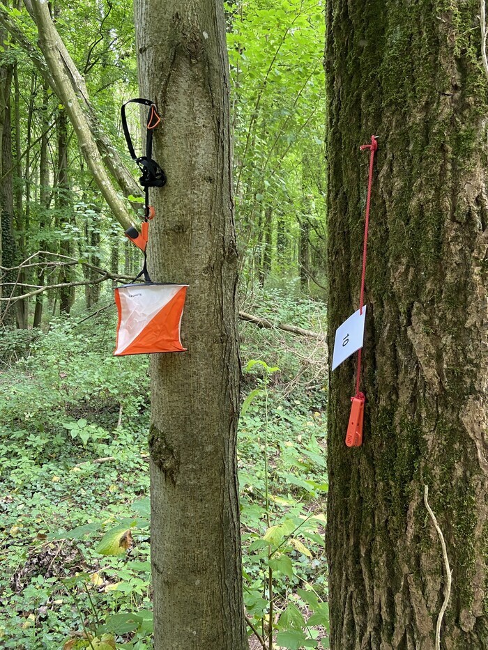 Parcours d'Orientation dans le parc du château château de Cercamp Frévent