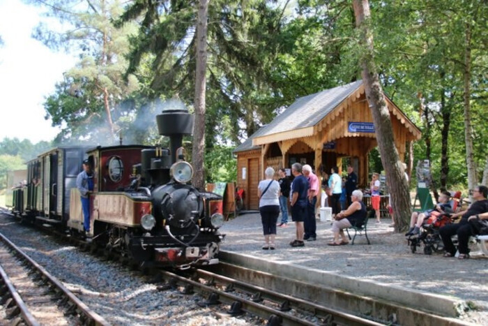 Parcours en train à vapeur avec visite du dépôt (matériels roulants et exposition de modélisme), Train historique du Lac de Rillé, Rillé