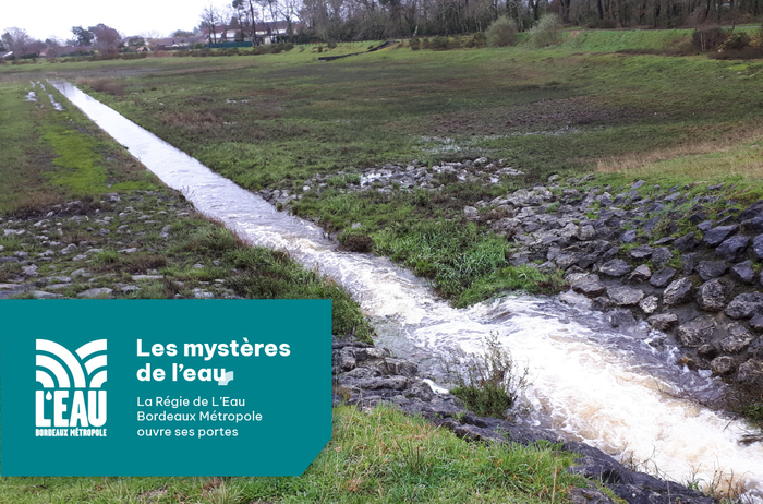 Participez à la randonnée « Le Bourgailh », Forêt du Bourgailh – Serres municipales, Pessac