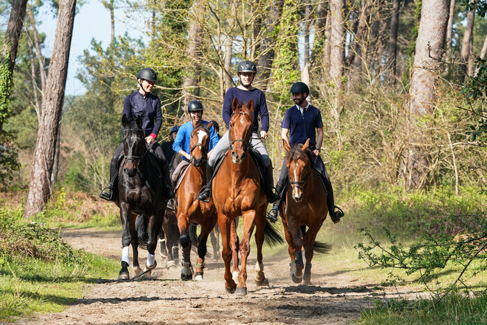 PASS découverte équitation adulte, Club hippique des étangs de Meudon, Meudon