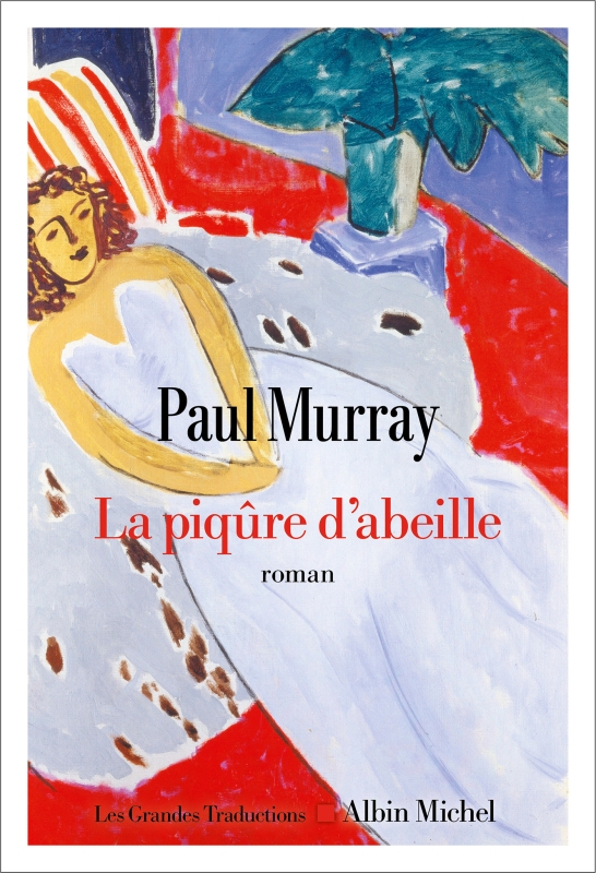 L’écrivain irlandais Paul Murray