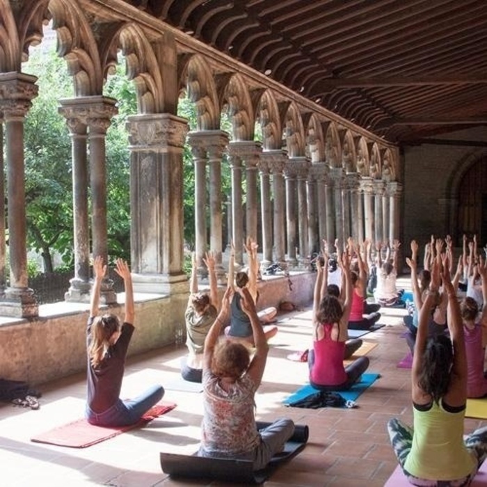 Pause Yoga, Musée des Augustins, Toulouse