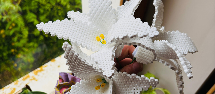 Perles à repasser : créer votre bouquet intemporel (adultes) La julienne Plan-les-Ouates