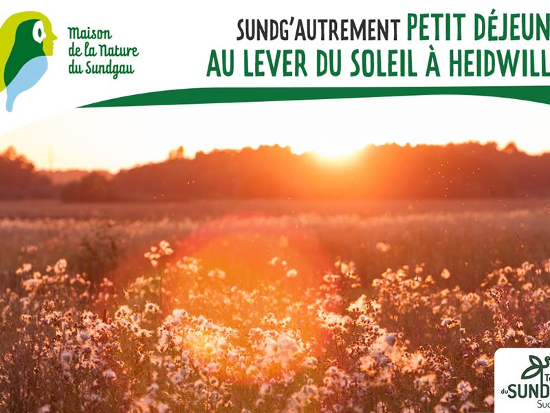 Petit déjeuner au lever du soleil à Heidwiller Heidwiller
