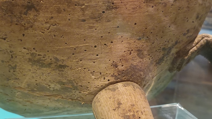 Petites bêtes, grands dégâts, Musée de la Haute Auvergne, Saint-Flour