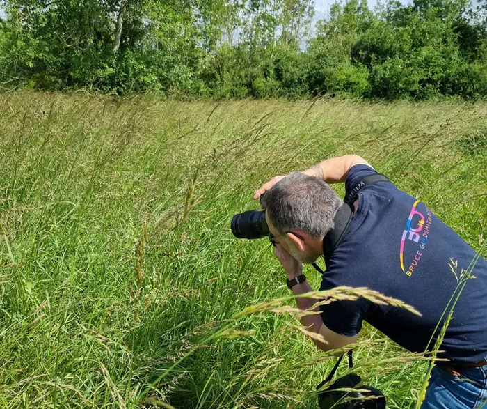 Photographie animalière aux Pâtis du Mesnil, Réserve Naturelle Nationale des Pâtis d&rsquo;Oger et du Mesnil-sur-Oger, Le Mesnil-sur-Oger