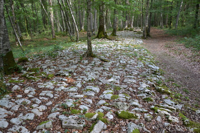 Photos gallo-romaines : pierres et nature, Mausolée Gallo-Romain, Faverolles