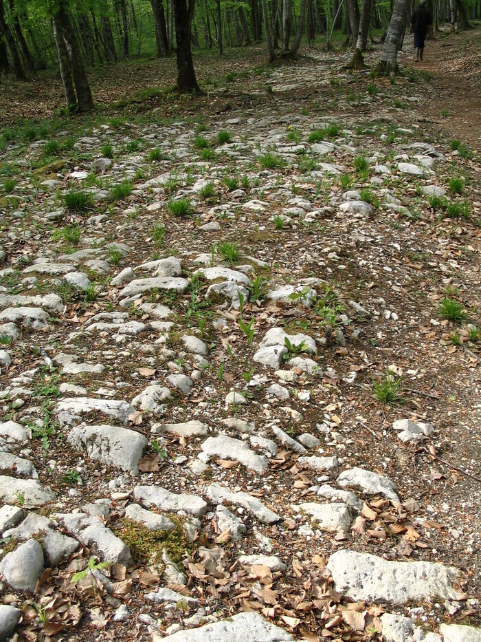 Photos gallo-romaines « pierres et natures », Maison forestière du site du mausolée gallo-romain, Faverolles