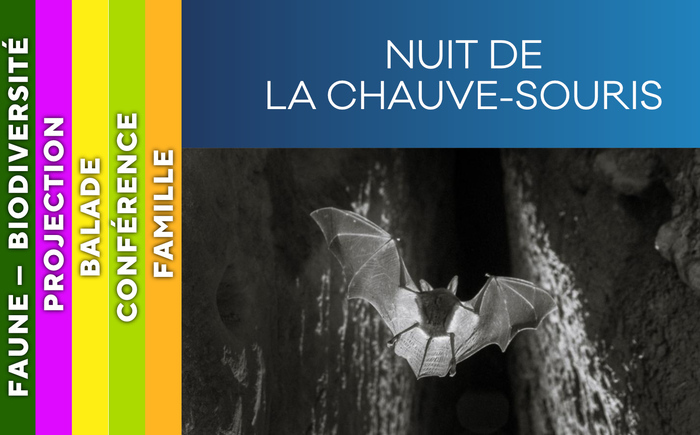 PIC DU MIDI - Nuit de la chauve-souris Maison du Parc National