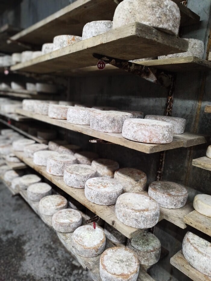 Plongez au cœur de la tradition à la ferme de la Trantsa !, Les Belleville, Saint-Martin-de-Belleville