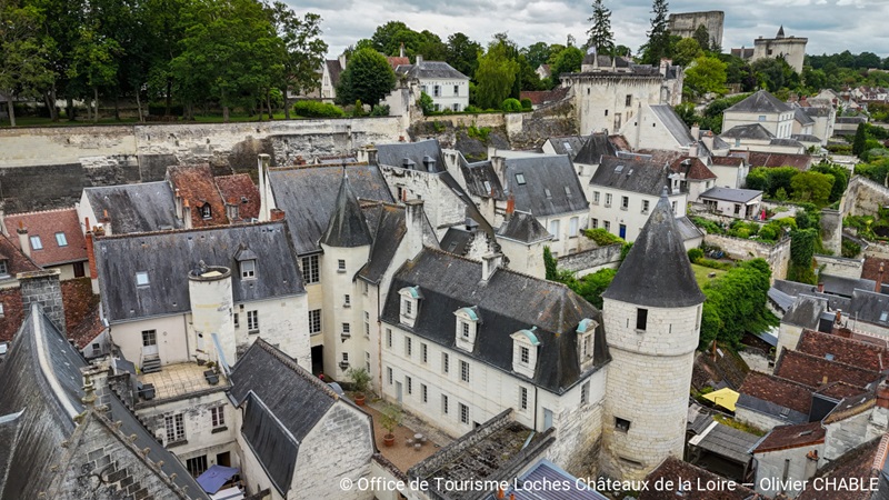 Pôle de rencontres et d’animations Restaurer le Patrimoine les métiers qui font vivre le patrimoine Loches