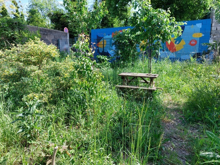 Portes-ouvertes de la Forêt-Jardin, Tiers-Lieu de la Lisette, Bagneux