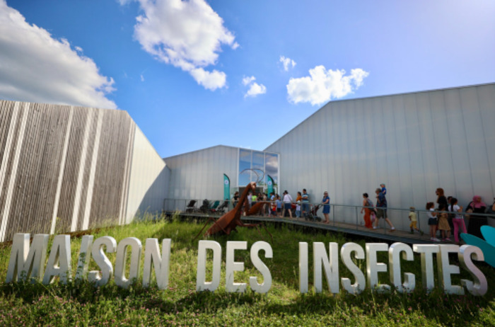 Portes ouvertes de la Maison des insectes Maison des insectes Carrières-sous-Poissy