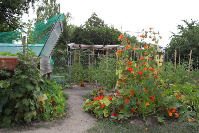 Portes ouvertes des jardins partagés, Jardins familiaux, Houilles