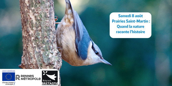 Prairies Saint-Martin : quand la nature raconte l’histoire Prairies Saint-Martin Rennes