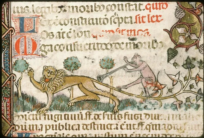 Présentation de documents patrimoniaux à la Bibliothèque Ceccano, Bibliothèque Ceccano, Avignon