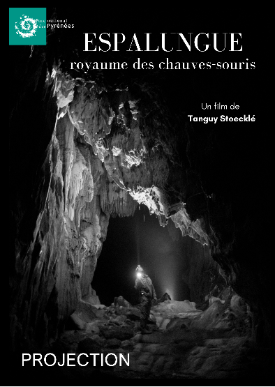 Projection échanges Espalungue, le royaume des chauves souris Maison du parc national Laruns