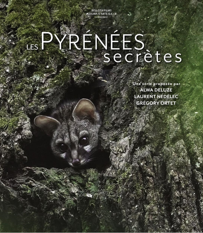 Projection échanges La discrète du piémont, la Genette Maison du Parc National Laruns