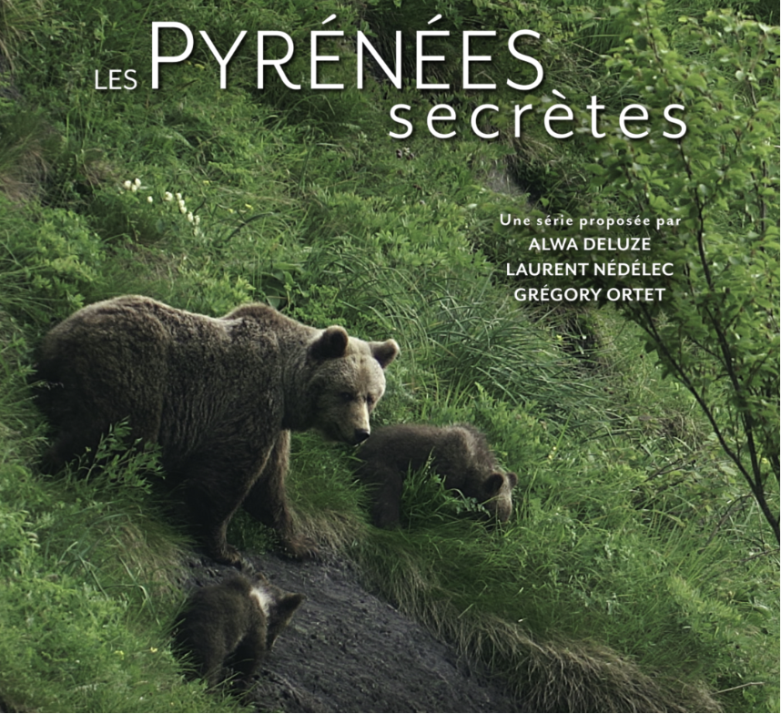 Projection échanges Le roi des fôrets ancestrales, l’Ours Brun Maison du parc national des Pyrénées Laruns