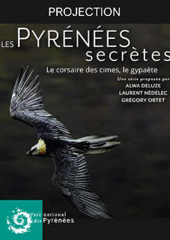 Projection Le corsaire des cimes