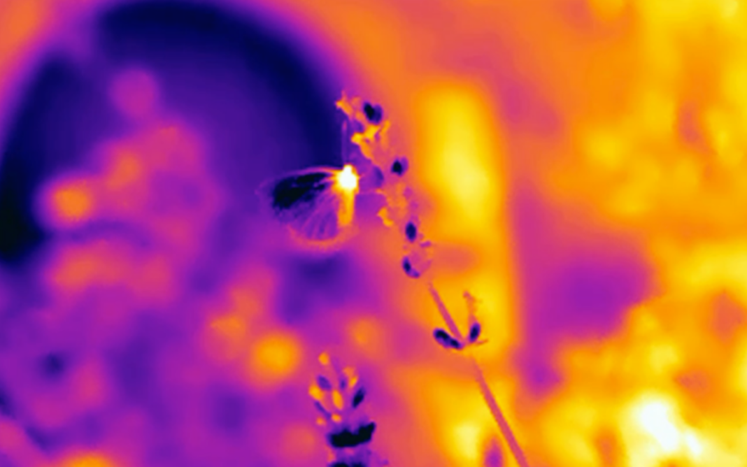 Projections – As long as clouds exist & Love and the sky on the spectrum de Charlotte Mariel Wilde – Le Lieu Paris