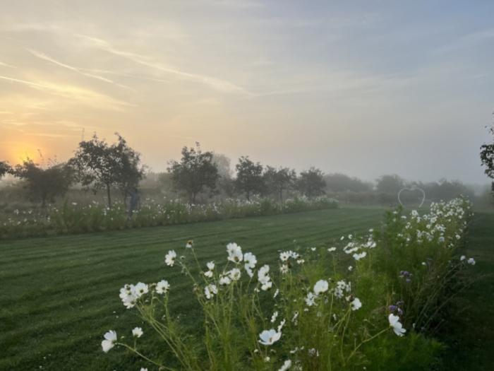 Promenade aux Jardins, Jardins Fruitiers, Laquenexy