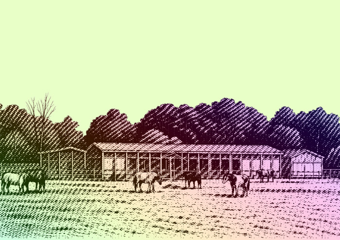 Promenade botanique à Lancy Maison de Rousseau et de la Littérature Genève