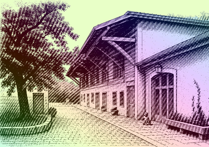 Promenade botanique à Vernier, Maison de Rousseau et de la Littérature, Genève