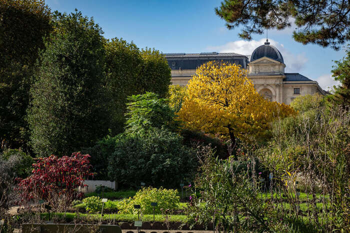 Promenade littéraire et historique dans le Jardin, Muséum national d’histoire naturelle – Jardin des Plantes, Paris