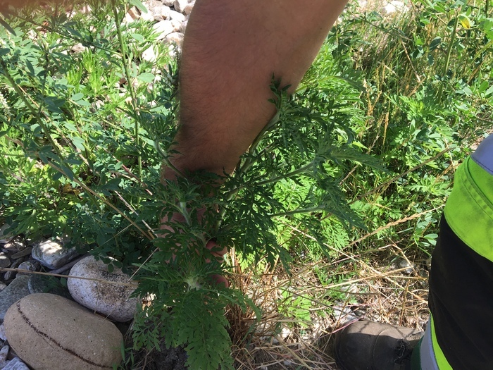 Protéger sa santé… à la source !, Mialet, Mialet