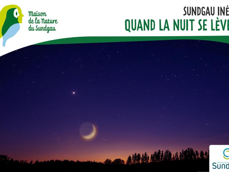 Quand la nuit se lève- À partir de 8 ans Heidwiller