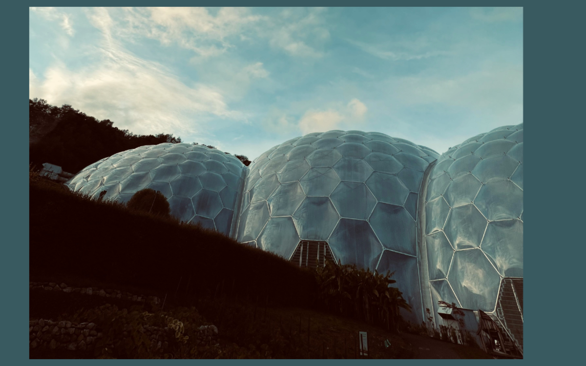 Quand l’architecture s’inspire de la nature Médiathèque Marguerite Duras Paris