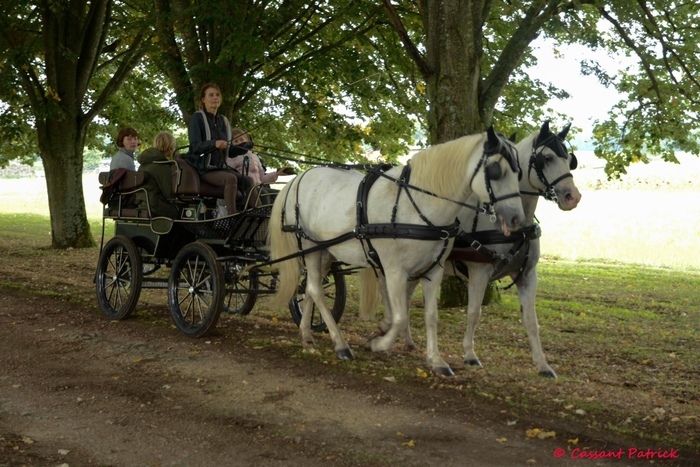 Rallye équestre, Musée et Espace Richelieu, Richelieu
