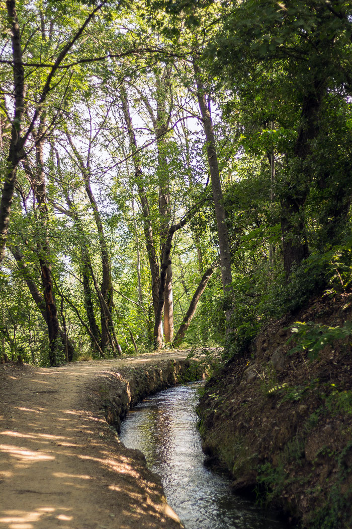 RANDO ACCOMPAGNEE LE CANAL DE BOHERE ET L’ABBAYE SAINT-MICHEL DE CUXA Codalet