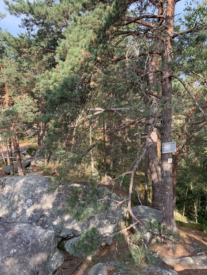 Rando journée, Le Millepattes, Servon