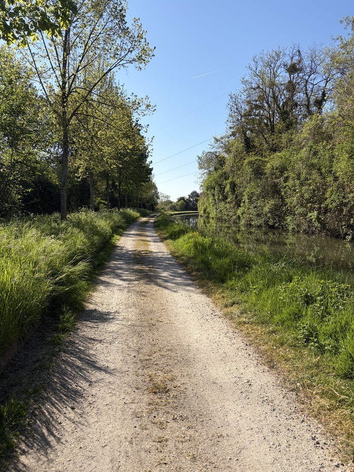 Rando Journée, Le Millepattes, Servon
