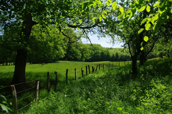 Randonnée dans la fraîcheur du matin Sauveterre Les Cayroux Les Escourgats Sauveterre-de-Rouergue