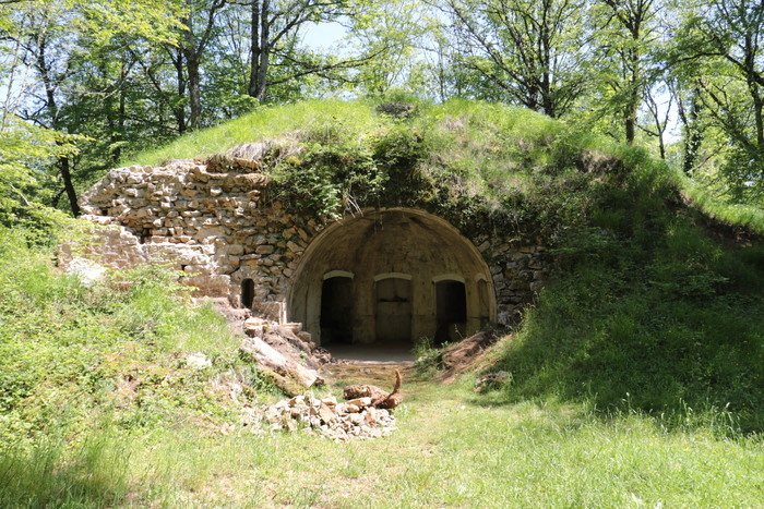 Randonnée entre chiens et loups sur le site de Montfaucon Belvédère de Montfaucon Montfaucon