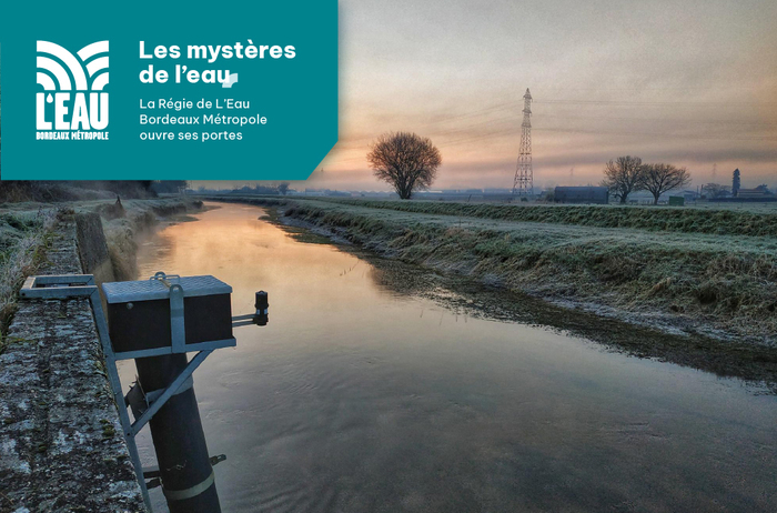 Randonnée : « les bords de Jalle » La Vacherie