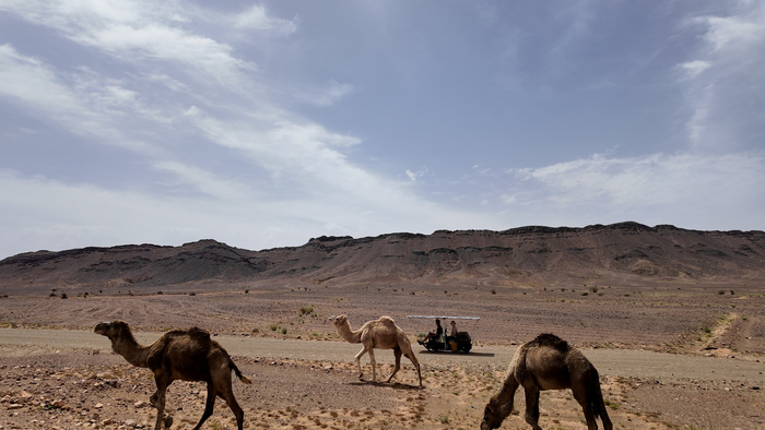 Récit de voyage : du Sahara à la France avec l&rsquo;énergie solaire, Le JAD Jardin des métiers d&rsquo;Art et du Design, Sèvres